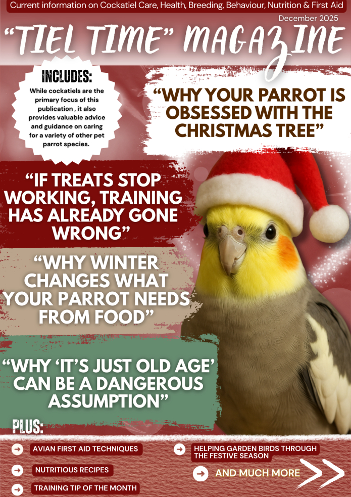 Tiel Time edition 13
